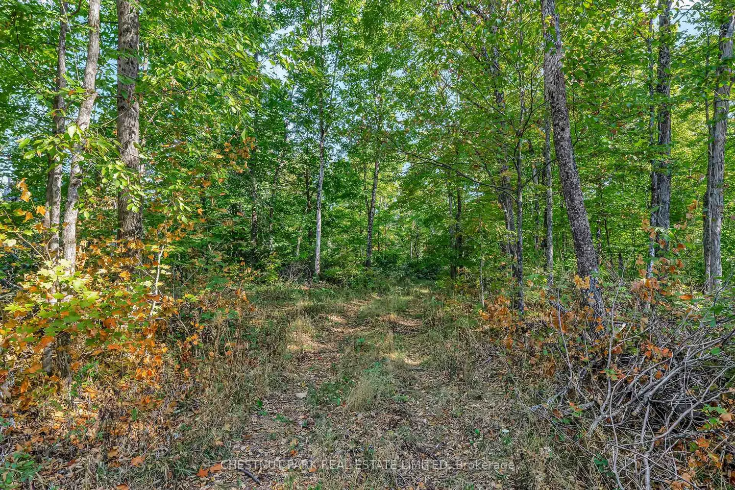 Additional image 20 of 682 Felbers Road