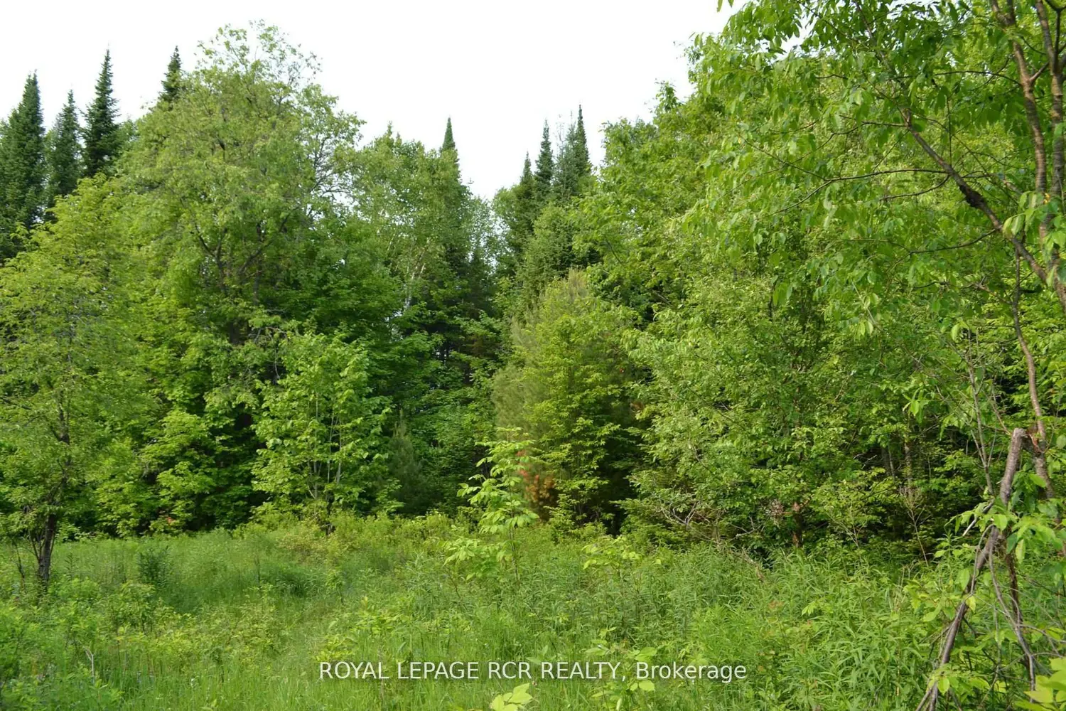 Additional image 7 of 1527 Madill Road