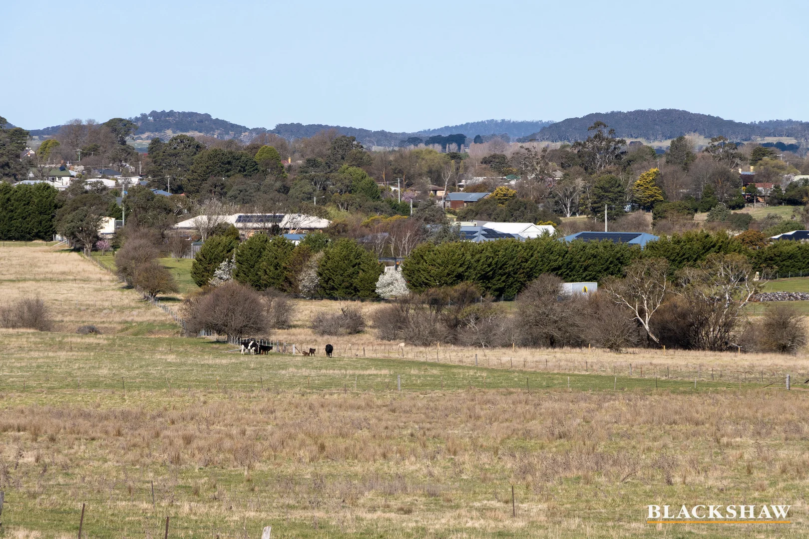 Additional image 9 of 60 Boppings Crossing Road, Braidwood NSW 2622