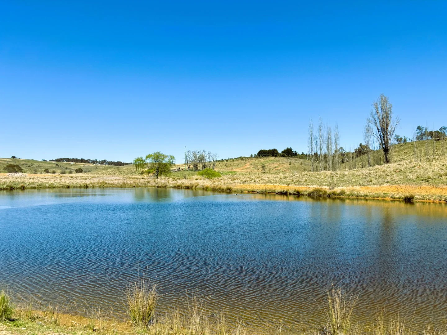 Additional image 4 of 25 Top Flat Lane, Wamboin NSW 2620