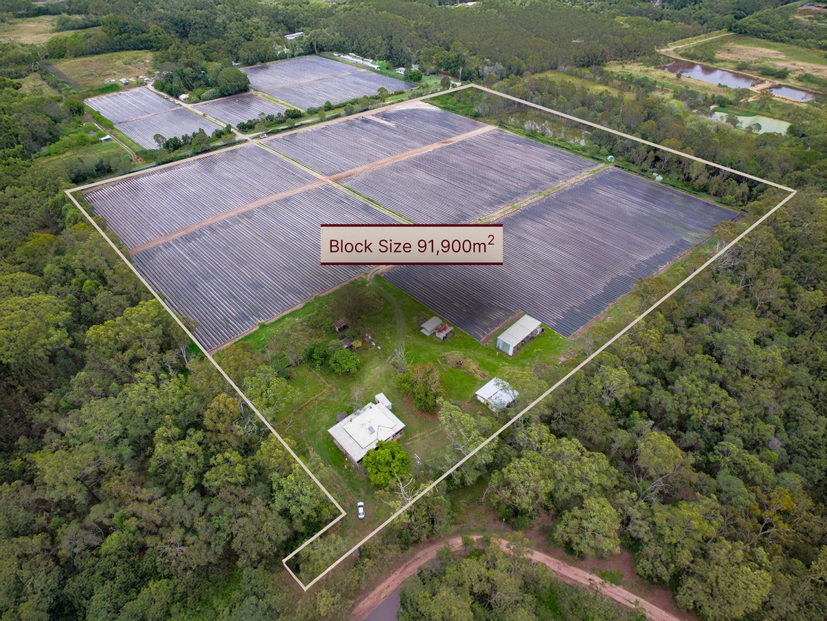 Additional image 3 of 83 Lindenthal Road, Park Ridge QLD 4125