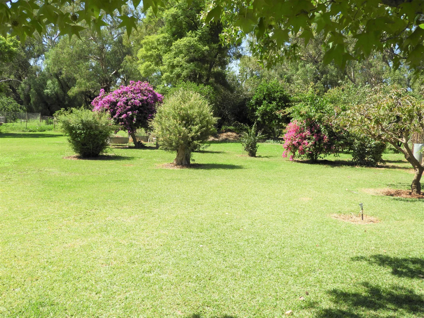 Additional image 3 of 45 Hilton Lane, Warren NSW 2824