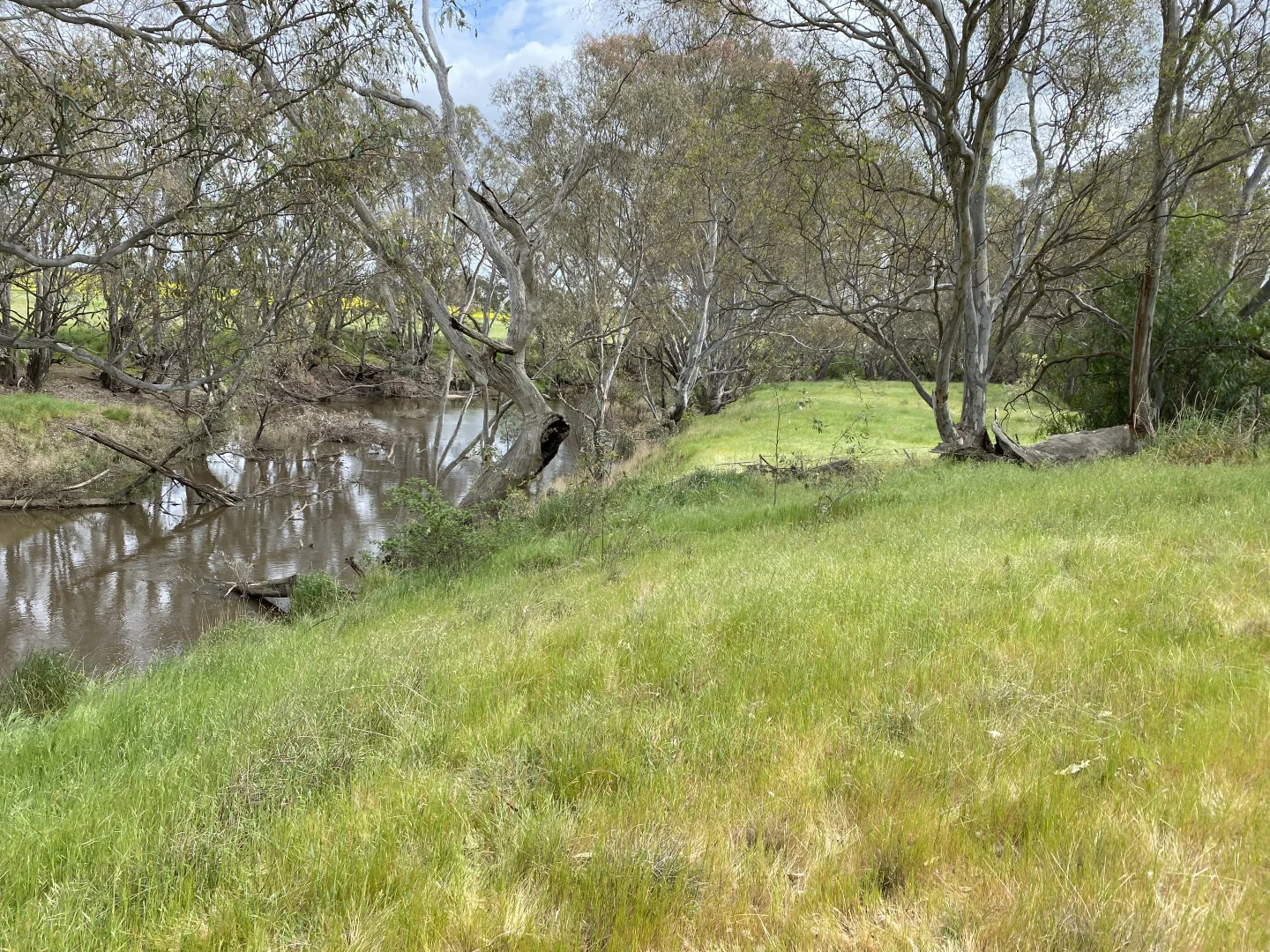 Additional image 6 of Lot 14 Browne Lane, Muskerry VIC 3557