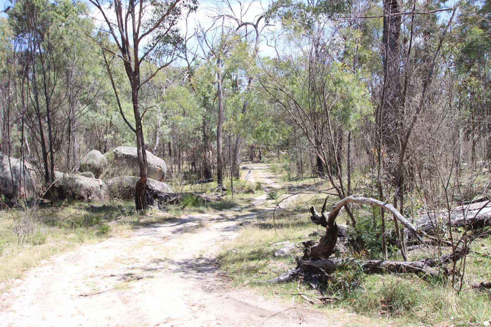 Additional image 9 of Lot 1 Brusharbers Road, Tenterfield NSW 2372
