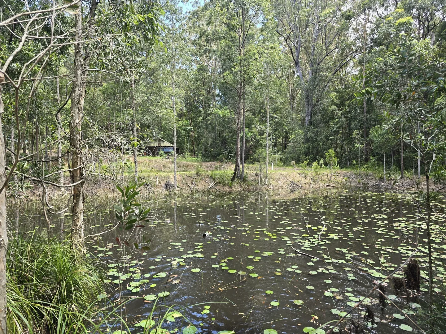 Additional image 27 of 145-159 Archville Station Rd, Bonville NSW 2450