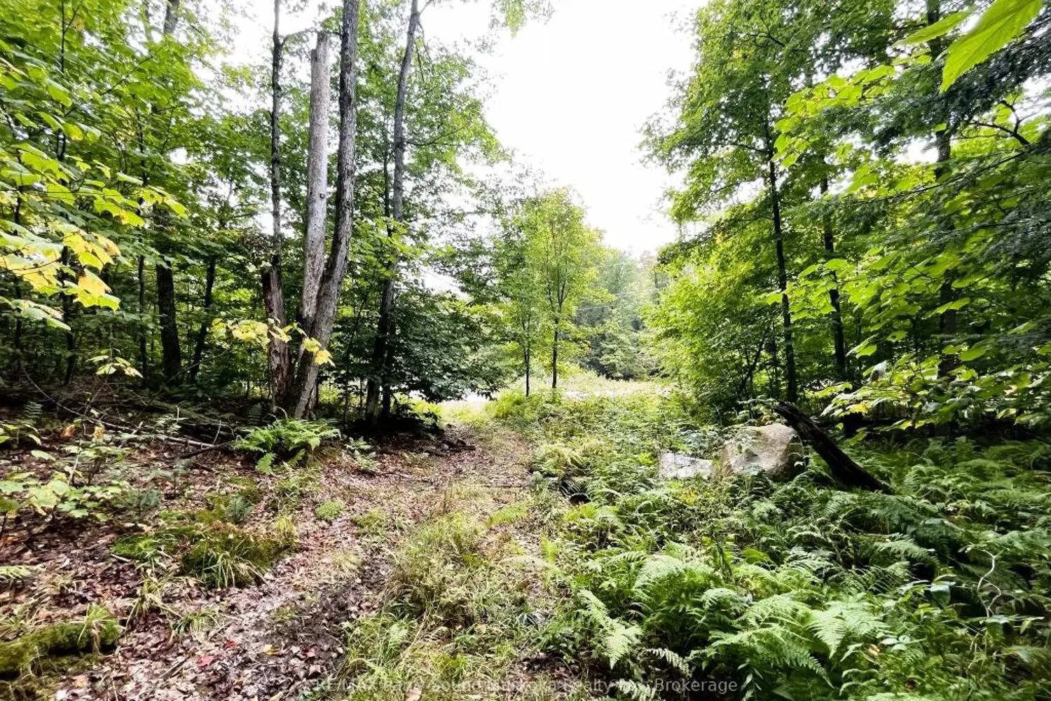 Additional image 9 of 75 Granite Drive