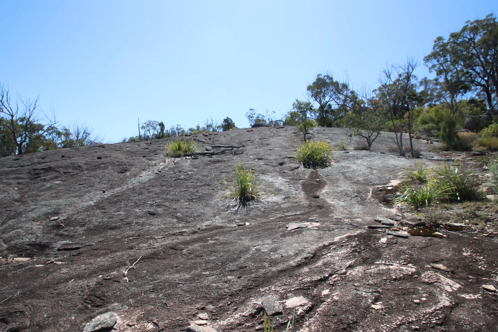 Additional image 6 of Lot 1 Brusharbers Road, Tenterfield NSW 2372