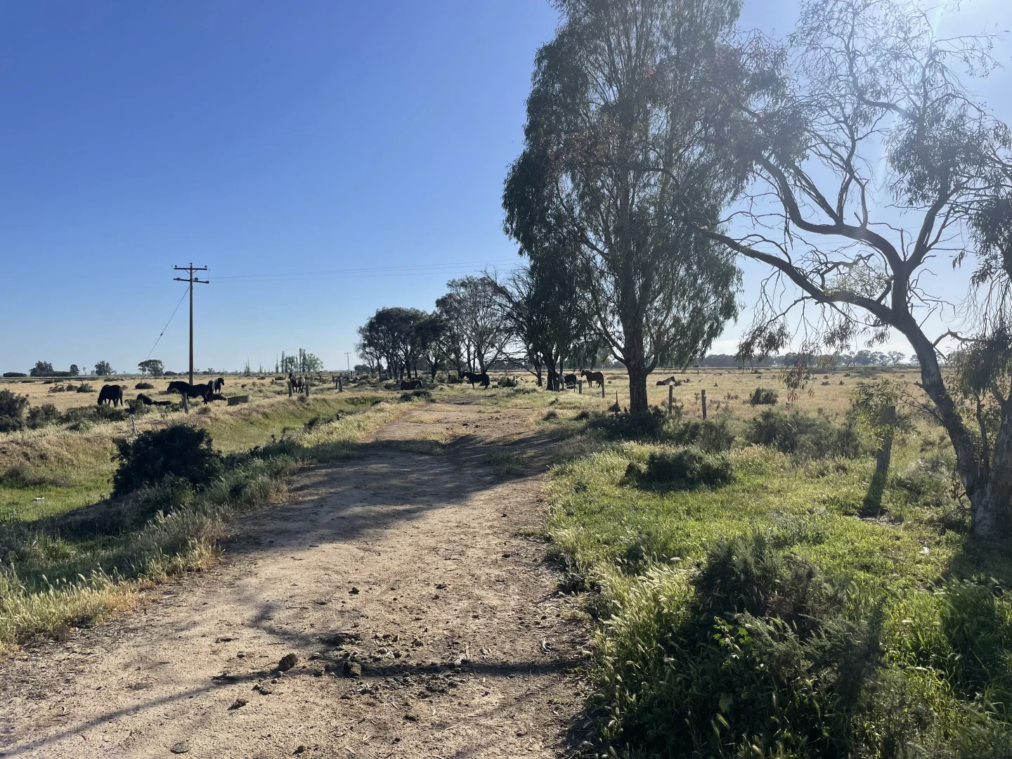 Additional image 14 of 'Yileen' 4371 Moulamein Road, Tullakool NSW 2732