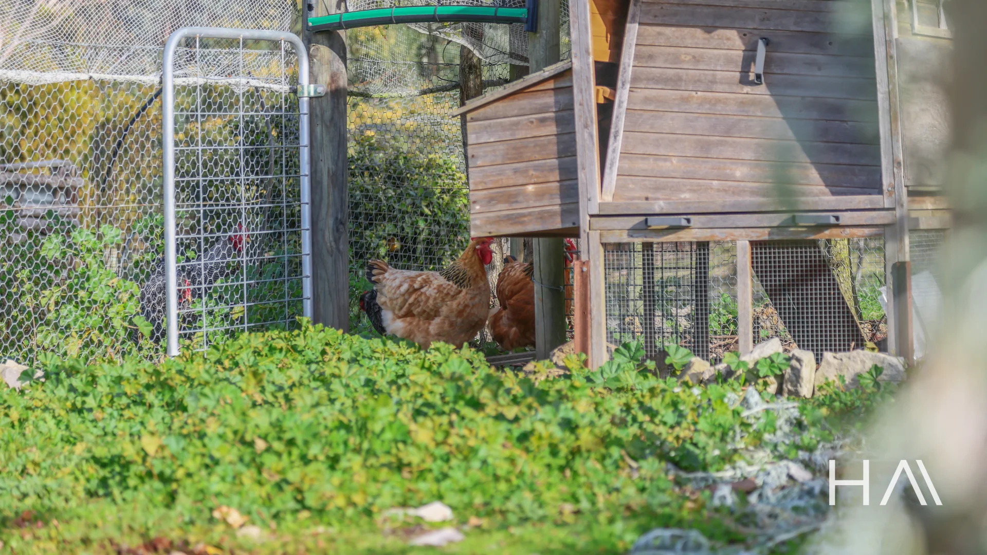 Additional image 28 of 128 Long Plains Road, Exeter TAS 7275