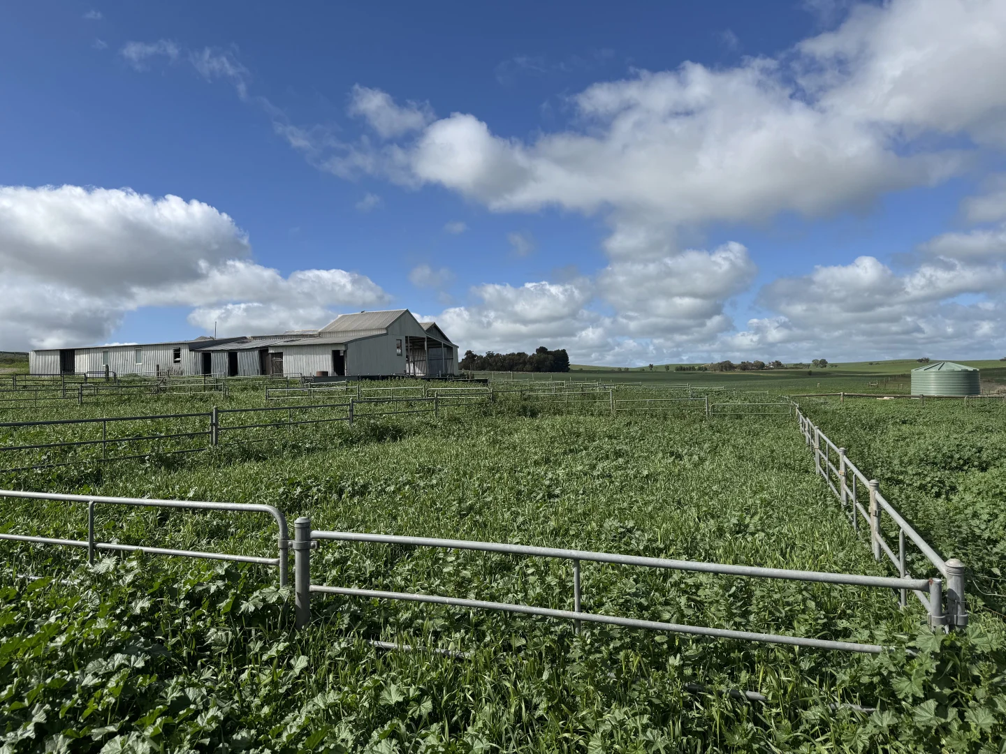 Additional image 16 of 2489 R M Williams Way, Spalding SA 5454