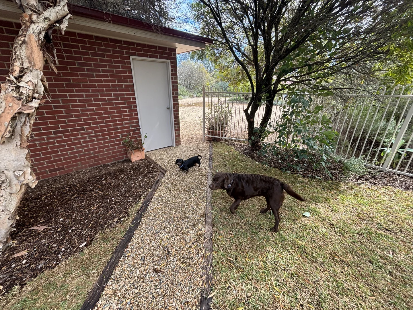 Additional image 20 of 24-26 Uri Street, Darlington Point NSW 2706