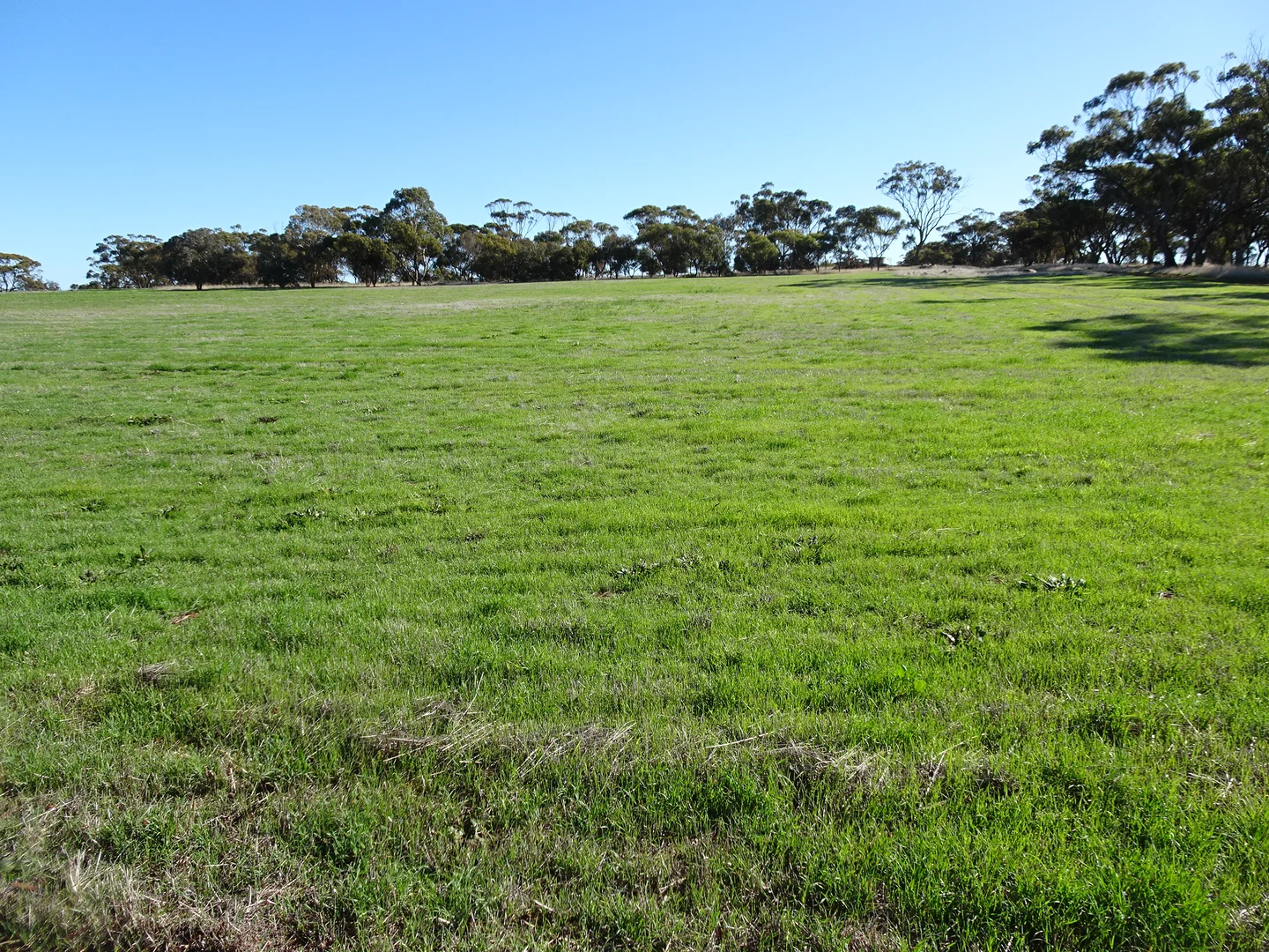 Additional image 29 of Shaddick Road, East Pingelly WA 6308