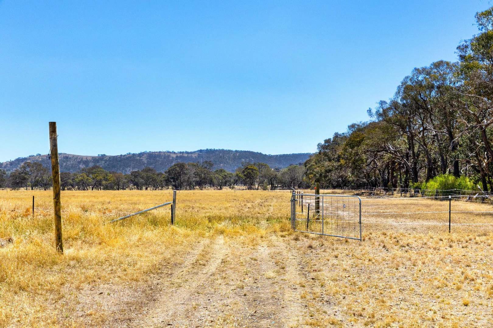 Additional image 9 of Taltarni Road, Moonambel VIC 3478