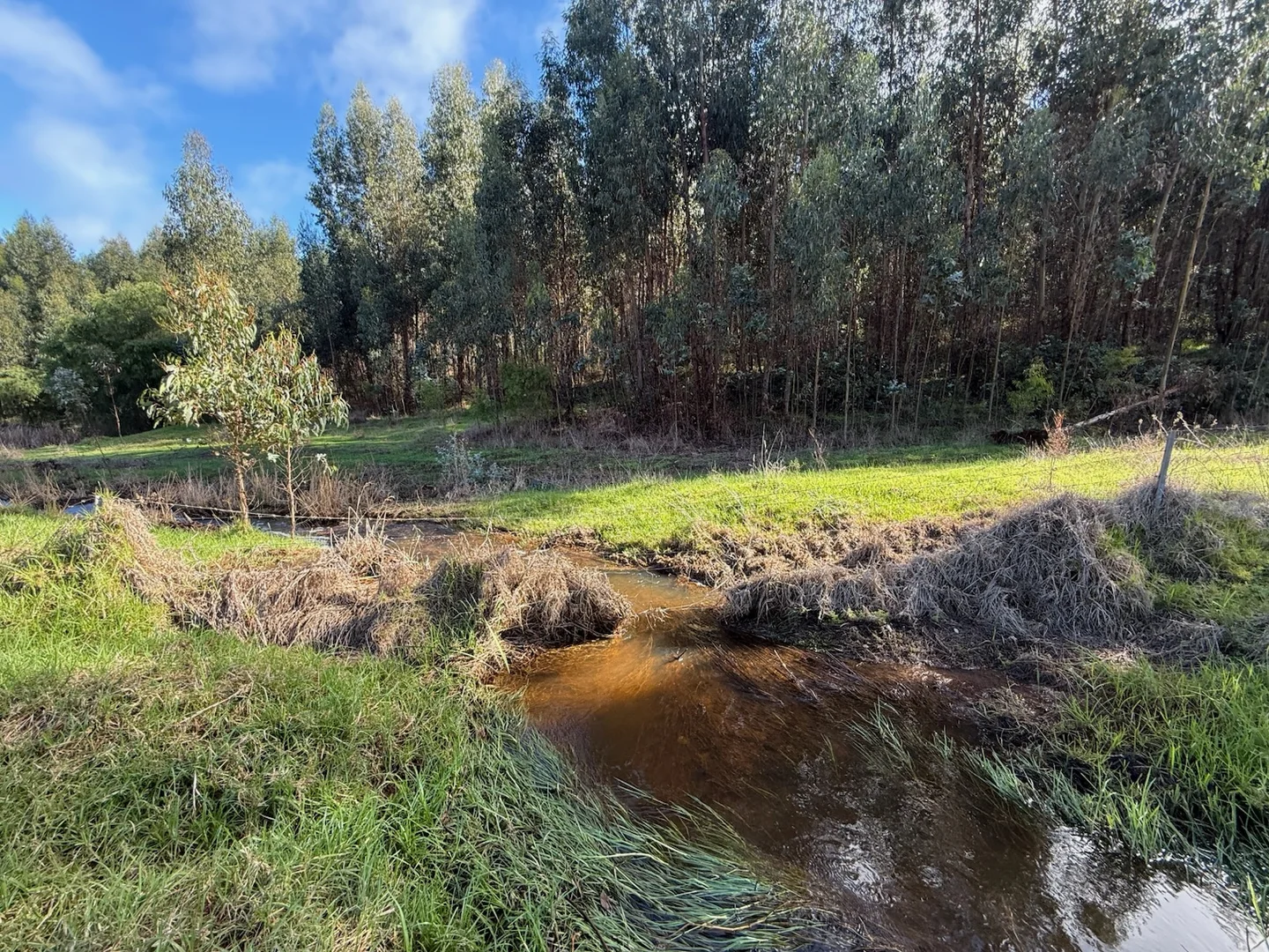 Additional image 14 of 228 Peppermint Grove Road, Middlesex WA 6258