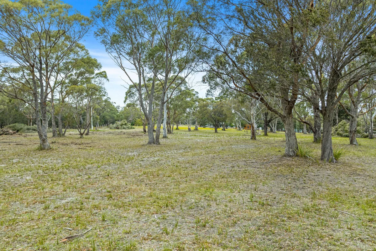 Additional image 7 of 196 Rheban Road, Orford TAS 7190
