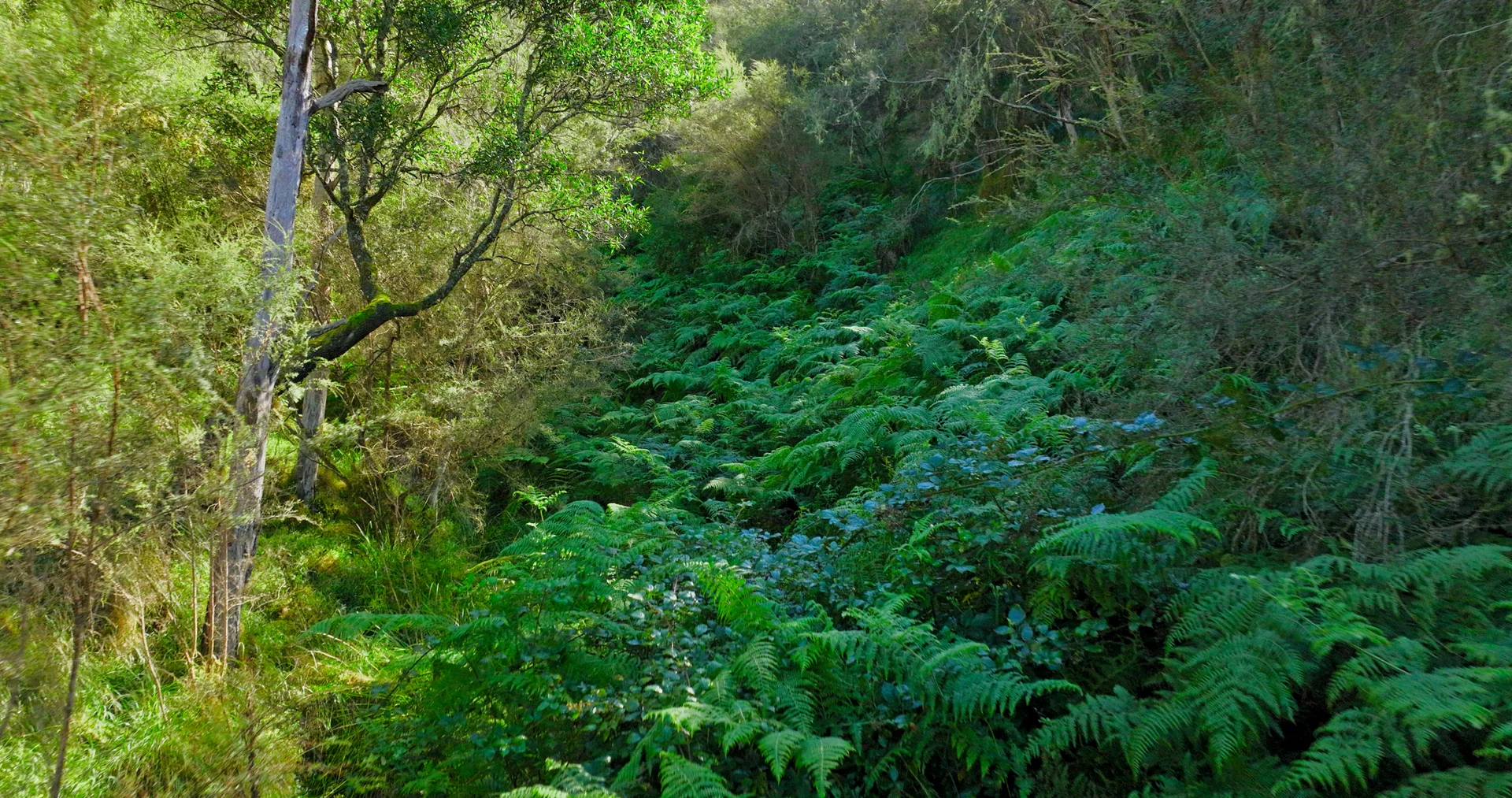 Additional image 7 of CA 9 Sec 20 Wonnangatta Road, Dargo VIC 3862