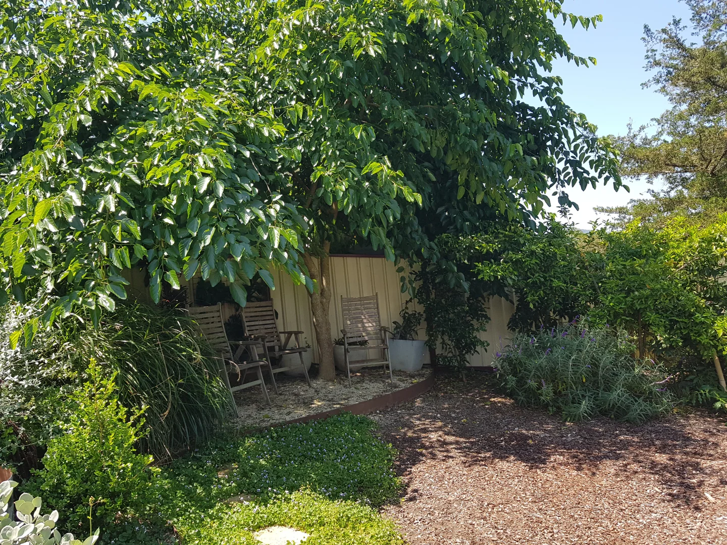 Additional image 24 of 3772 The Bucketts Way, Krambach NSW 2429