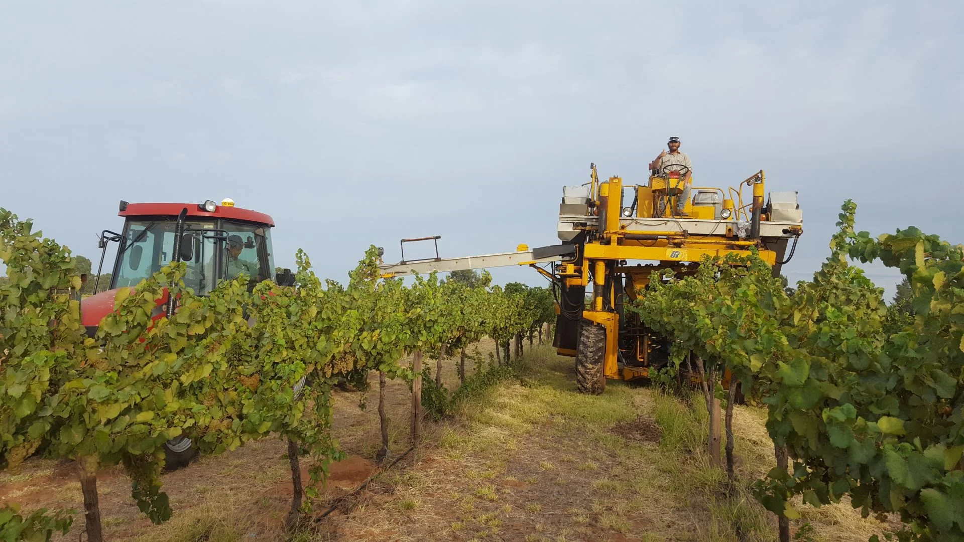 Additional image 7 of 71 Kyola Road, Coleambally NSW 2707