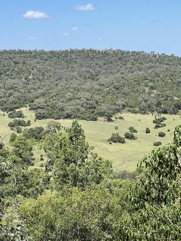 1020 Bramble Rd, Warrumbungle NSW 2828