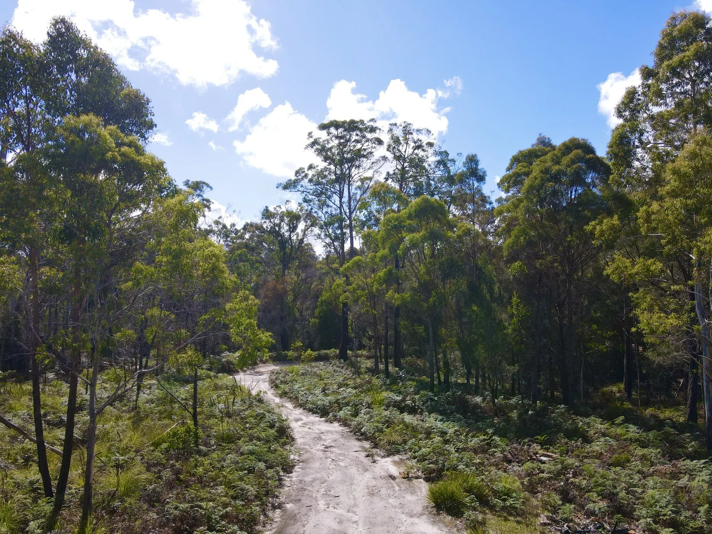 311 Medeas Cove Road, St Helens TAS 7216