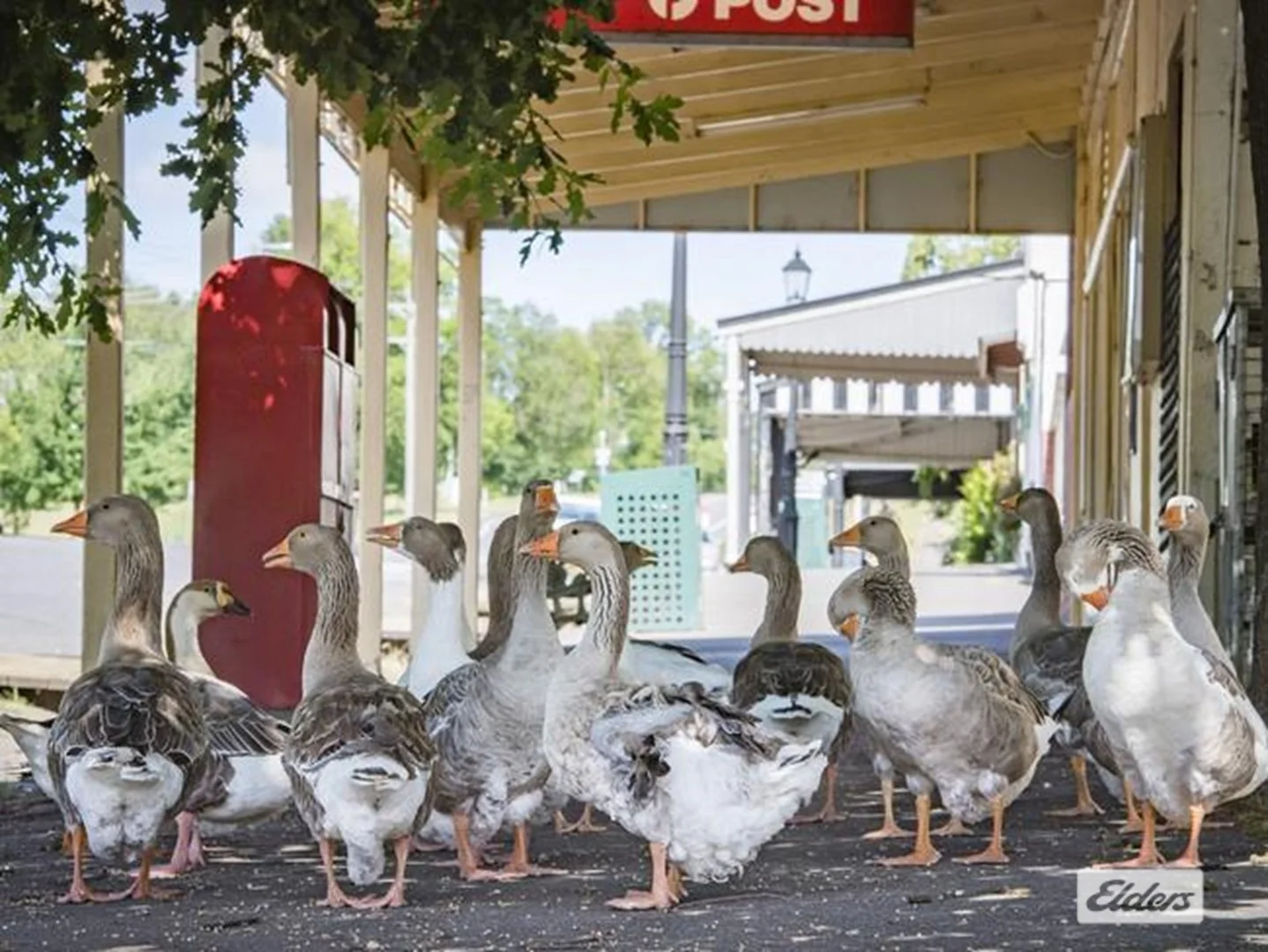 Additional image 2 of 7 &  11 Ellesmere Place, Malmsbury VIC 3446