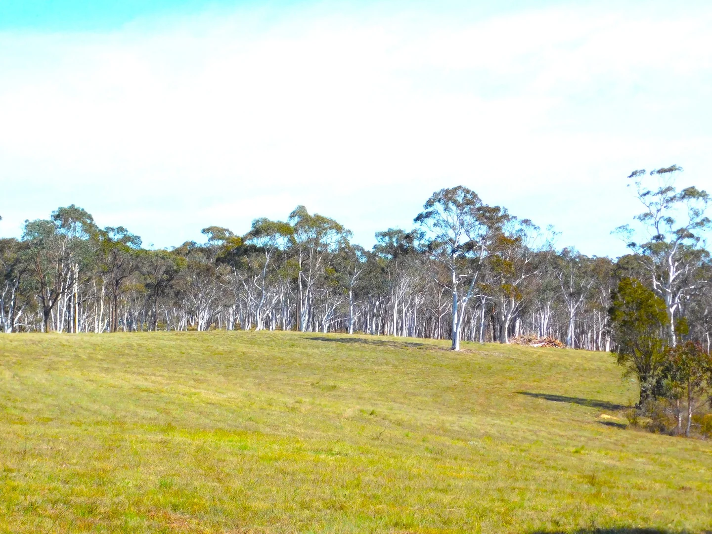 Additional image 19 of 146 Winfarthing Rd, Marulan NSW 2579