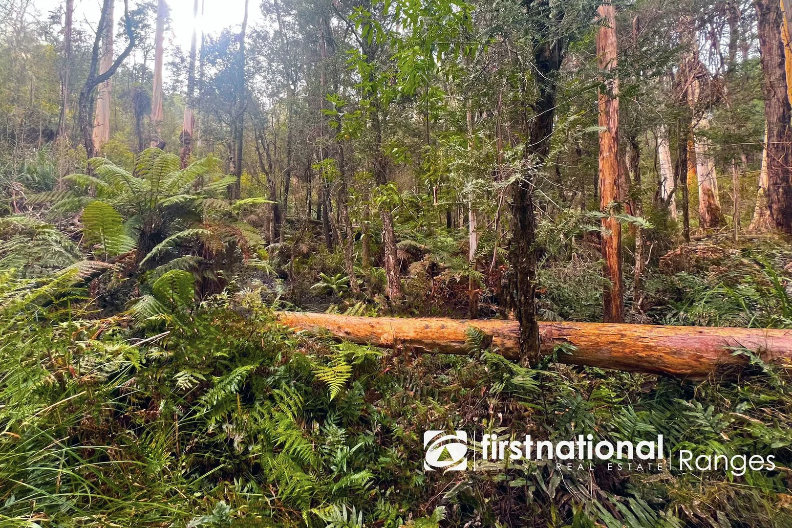 Additional image 2 of 2780 Gembrook-Launching Place Road, Gembrook VIC 3783