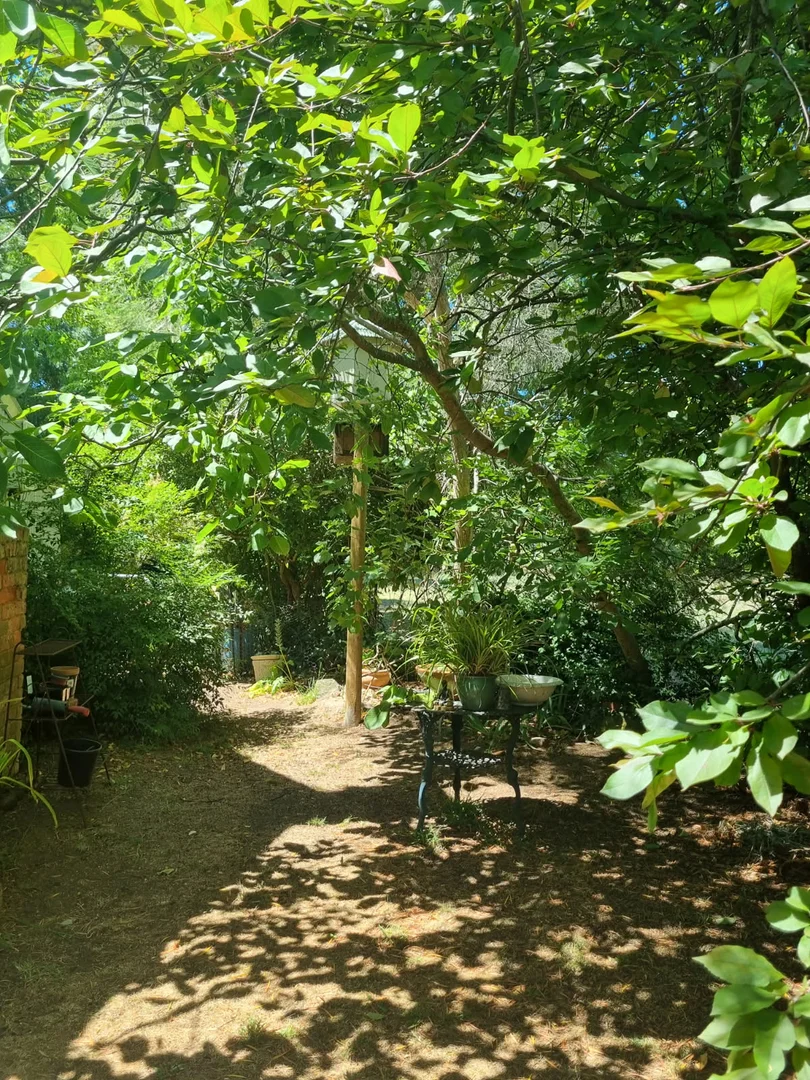 Additional image 15 of 9 Fraser Street, Clunes VIC 3370