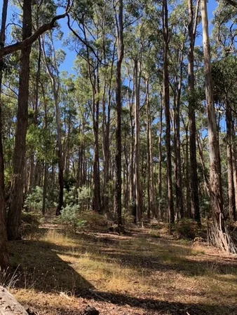 Additional image 13 of 150 Woodduck Drive, Wheatsheaf VIC 3461