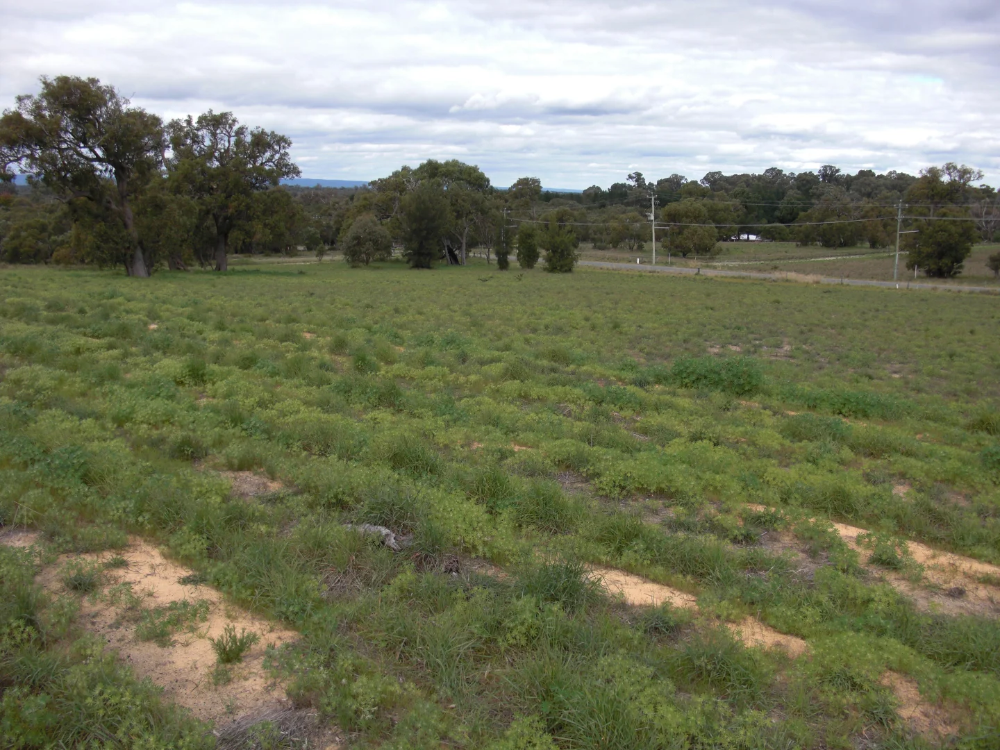 Additional image 2 of Lot 472 Mallee Drive, Karnup WA 6176