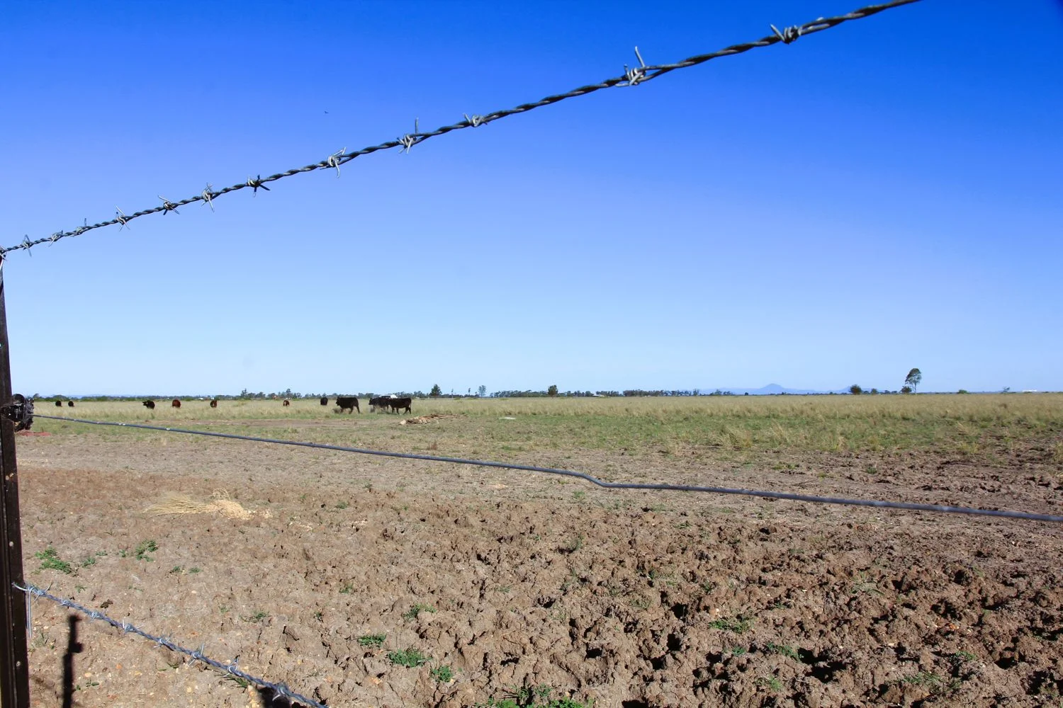 Additional image 8 of 368 Burrington Road, Moree NSW 2400