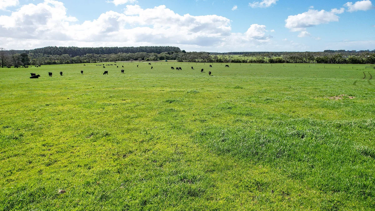 Additional image 18 of 395 Settlers Road, Tyrendarra VIC 3285