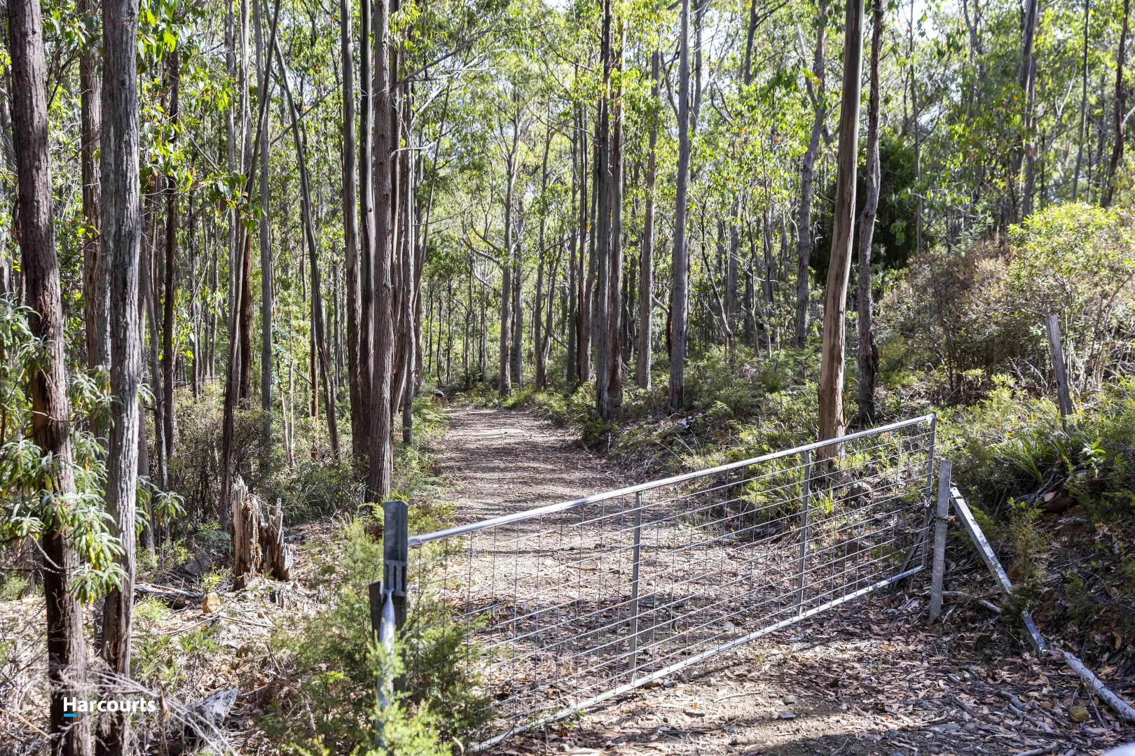 Additional image 3 of RA Basin Road, Grove TAS 7109