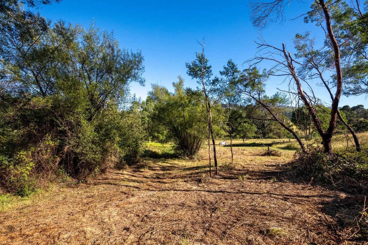 Additional image 5 of 24 Oak Street, Wyndham NSW 2550