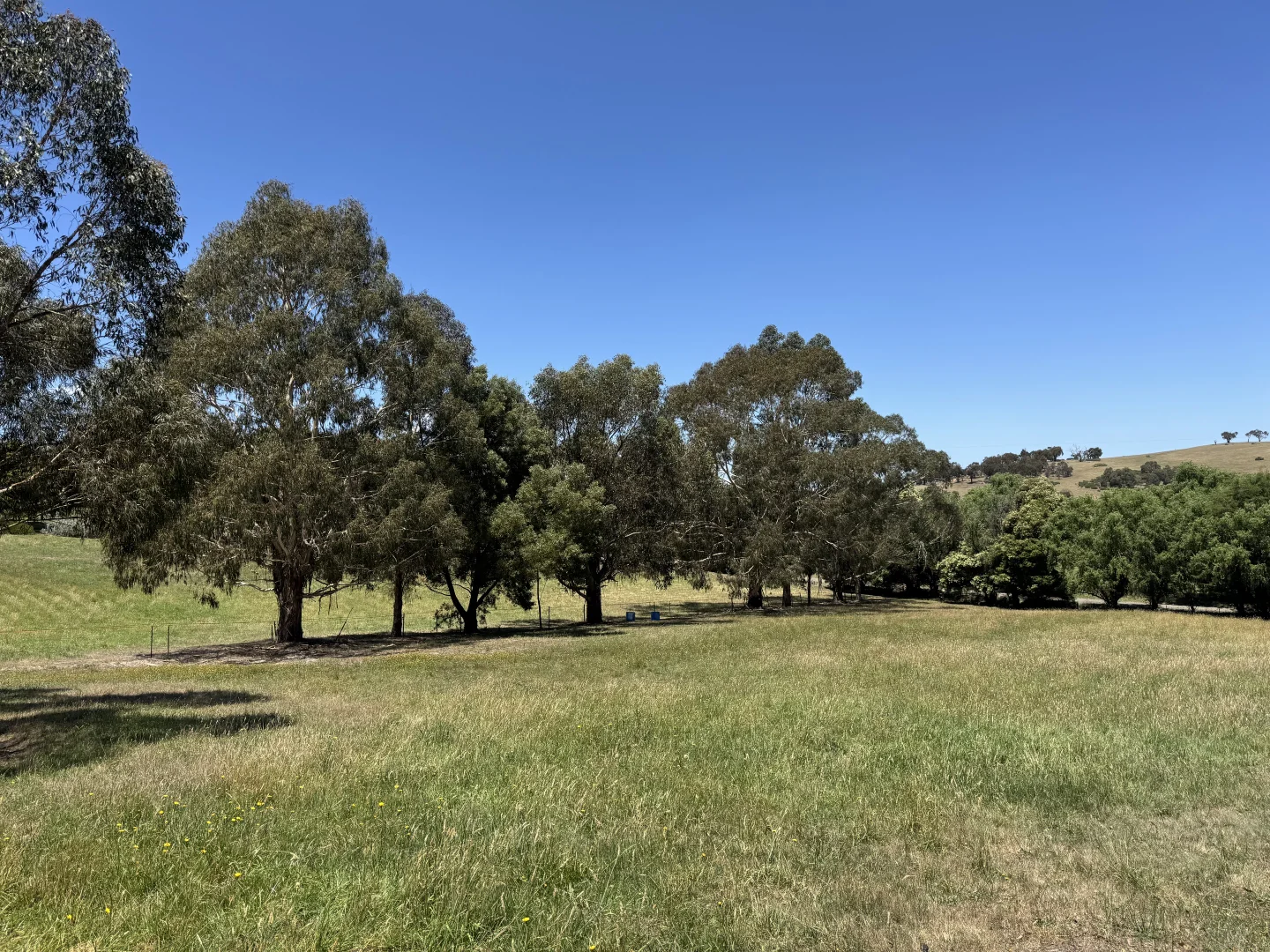 Additional image 39 of 10 Munts Road, Upper Plenty VIC 3756