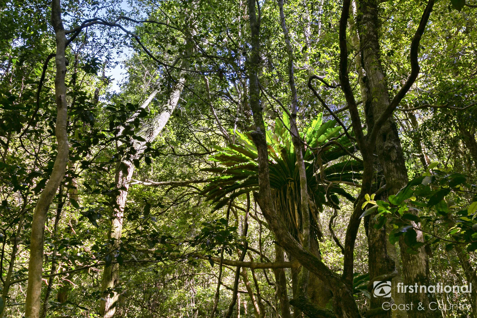 Additional image 12 of 105 Nuninuna Drive, Jamberoo NSW 2533