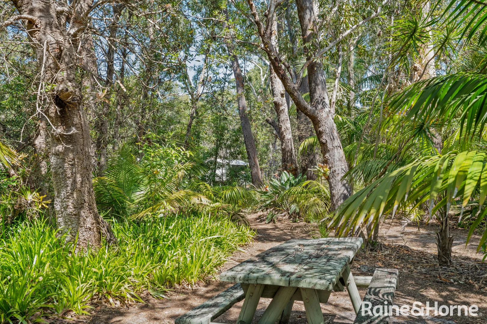 Additional image 28 of 4 Thorne Street, Lake Conjola NSW 2539