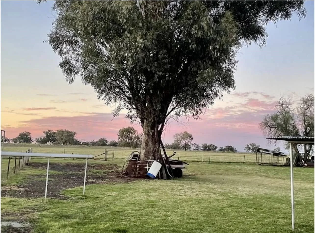 Additional image 2 of 28-30 Yarraman Rd, Blackville NSW 2343