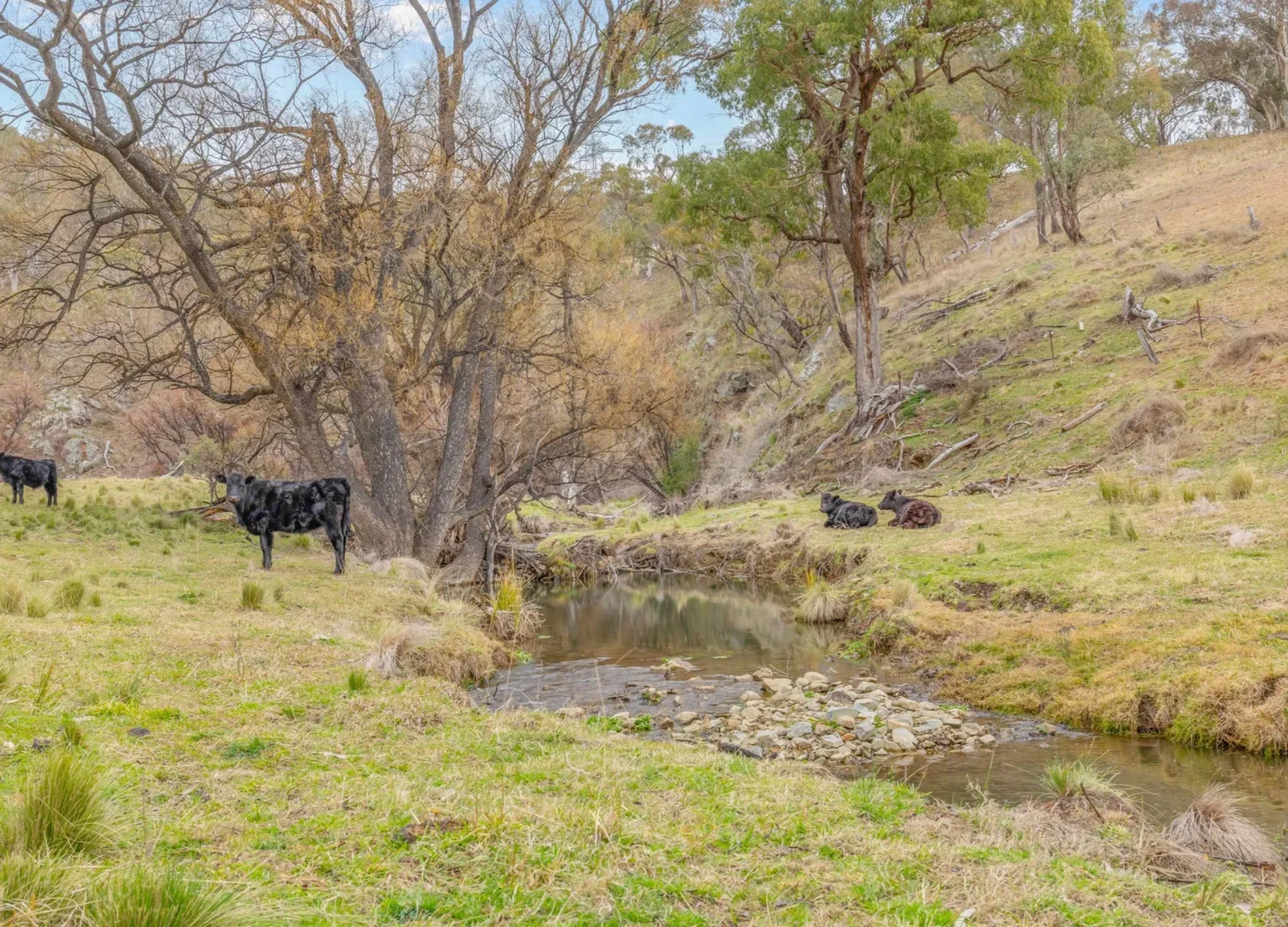 Additional image 29 of 226 Quarry Road, Ben Bullen NSW 2790