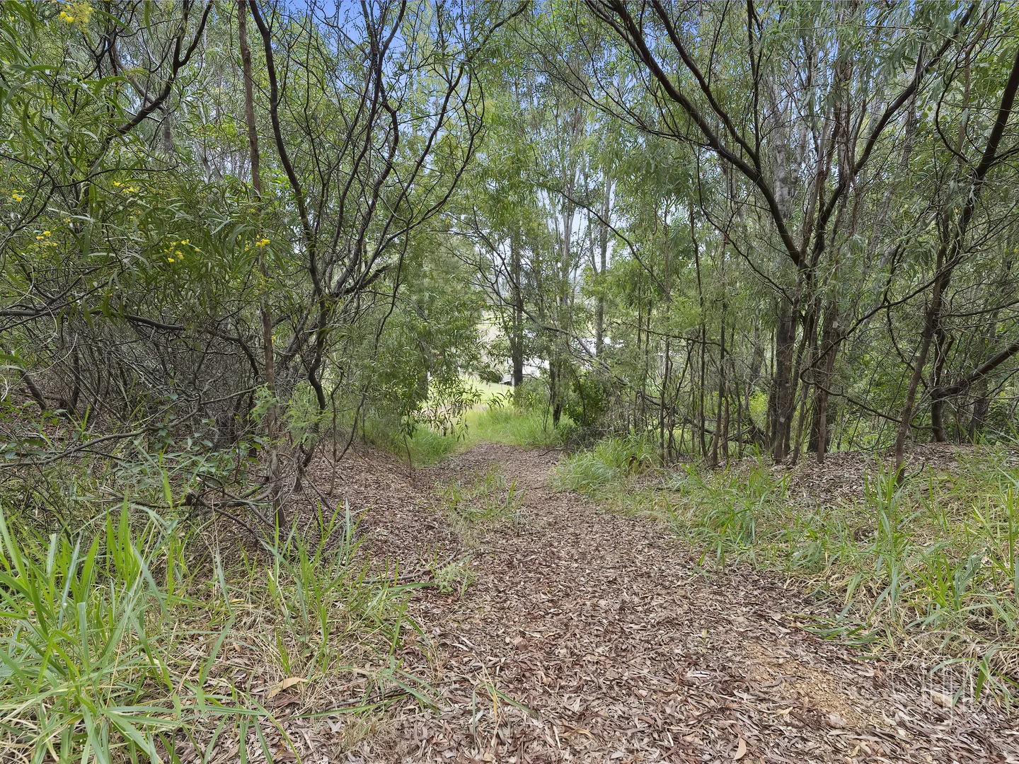 Additional image 13 of 31 Bundy Road, Imbil QLD 4570