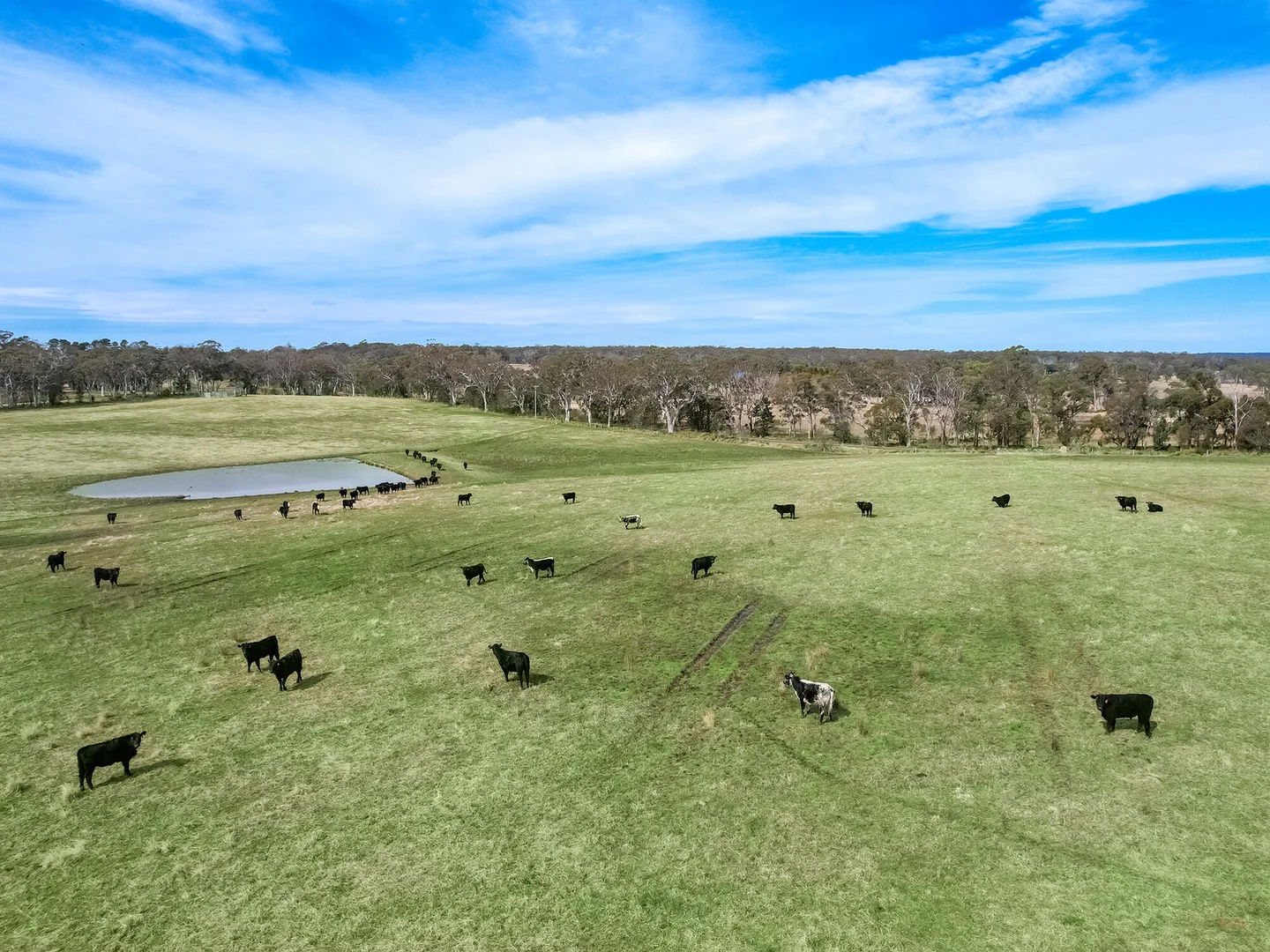 Additional image 16 of 60 Wanganderry Road, High Range NSW 2575