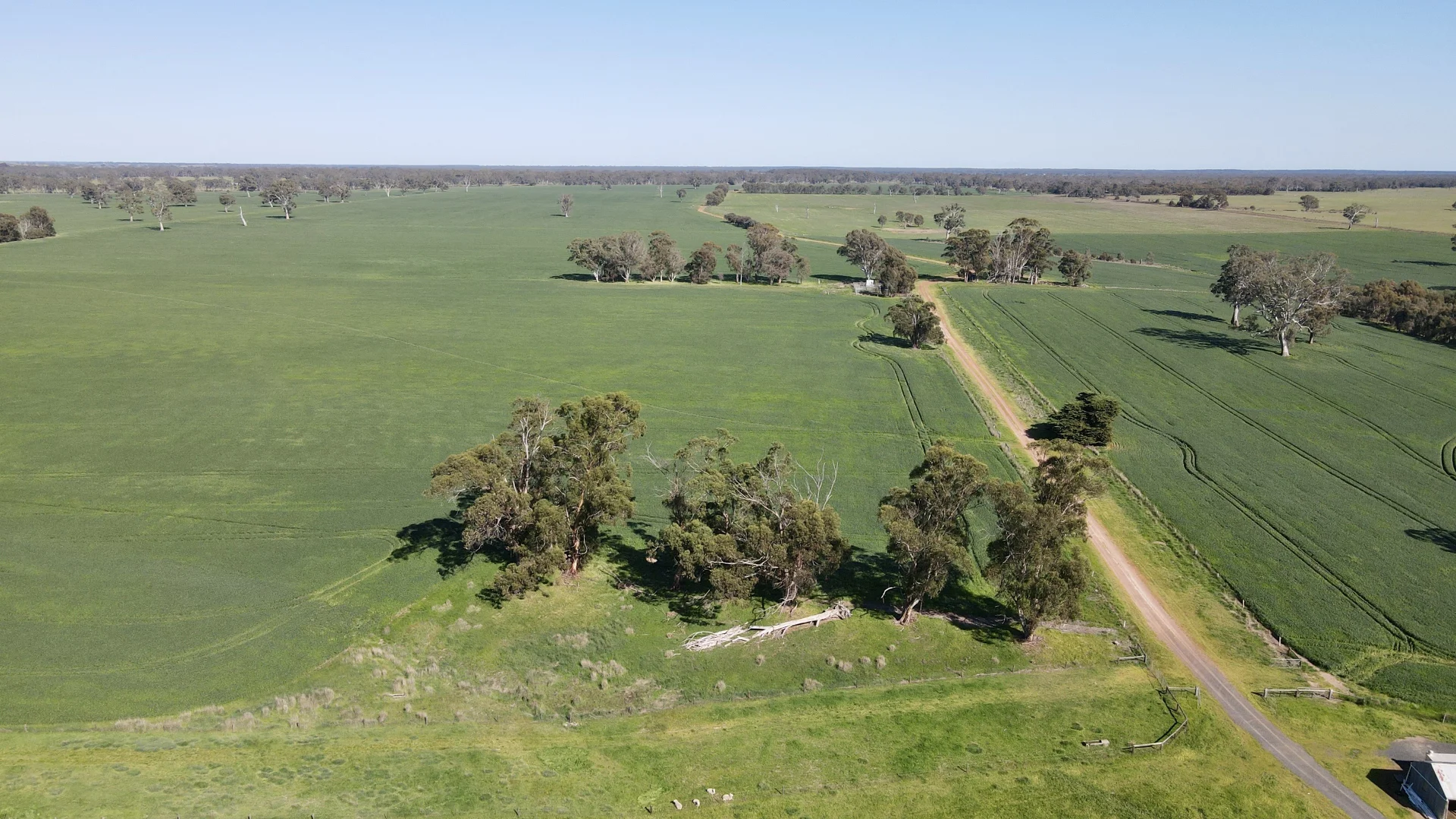 Additional image 4 of 173 Mcclures Rd, Connewirricoo VIC 3318