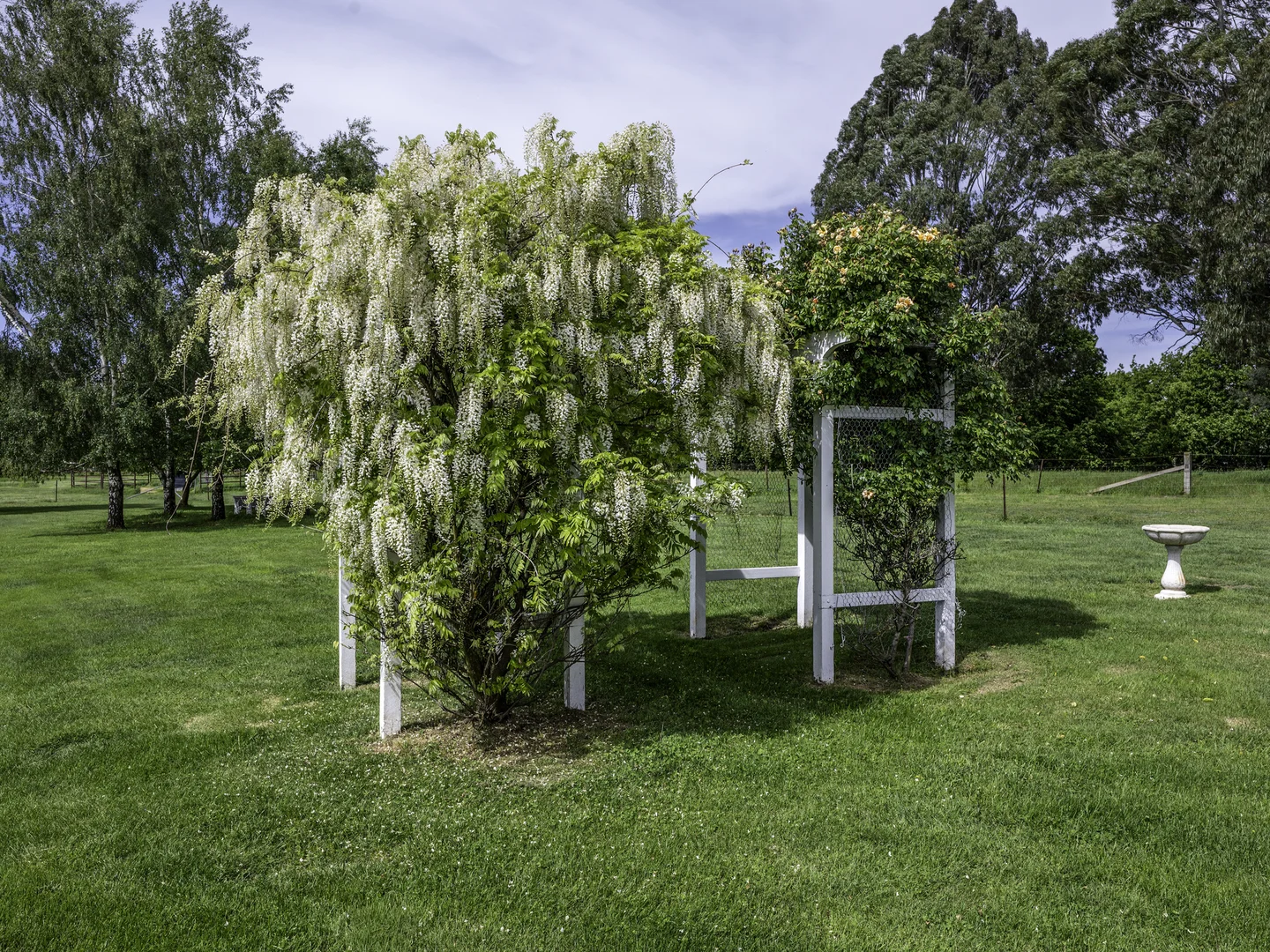 Additional image 19 of Wattle Range Road, Tolmie VIC 3723