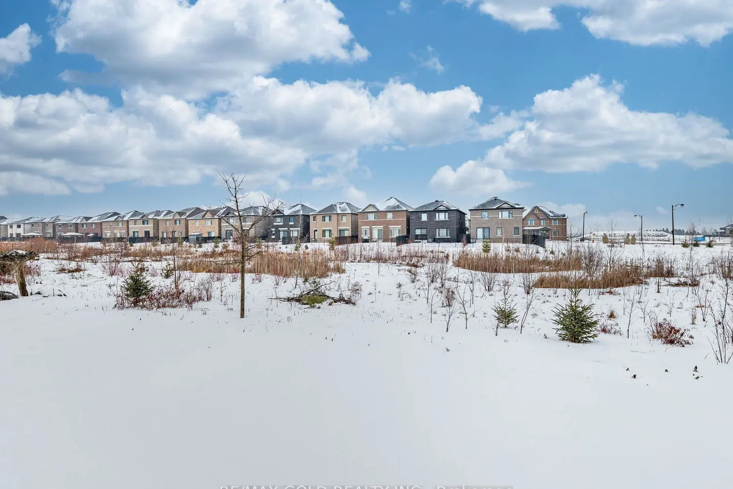 Additional image 18 of 50 Dundee Street