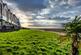 Additional image 34 of Bwlchygwynt, Llanelli