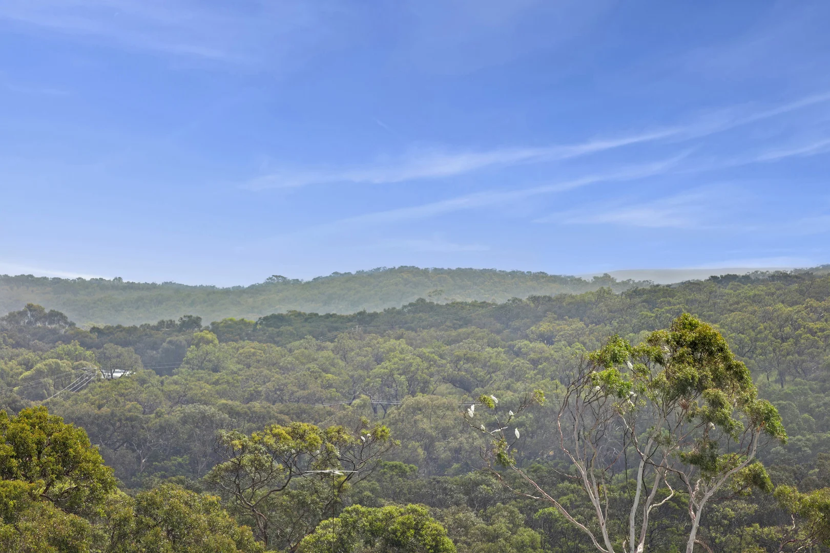 Additional image 3 of 1/17 Lubel Street, Anglesea VIC 3230