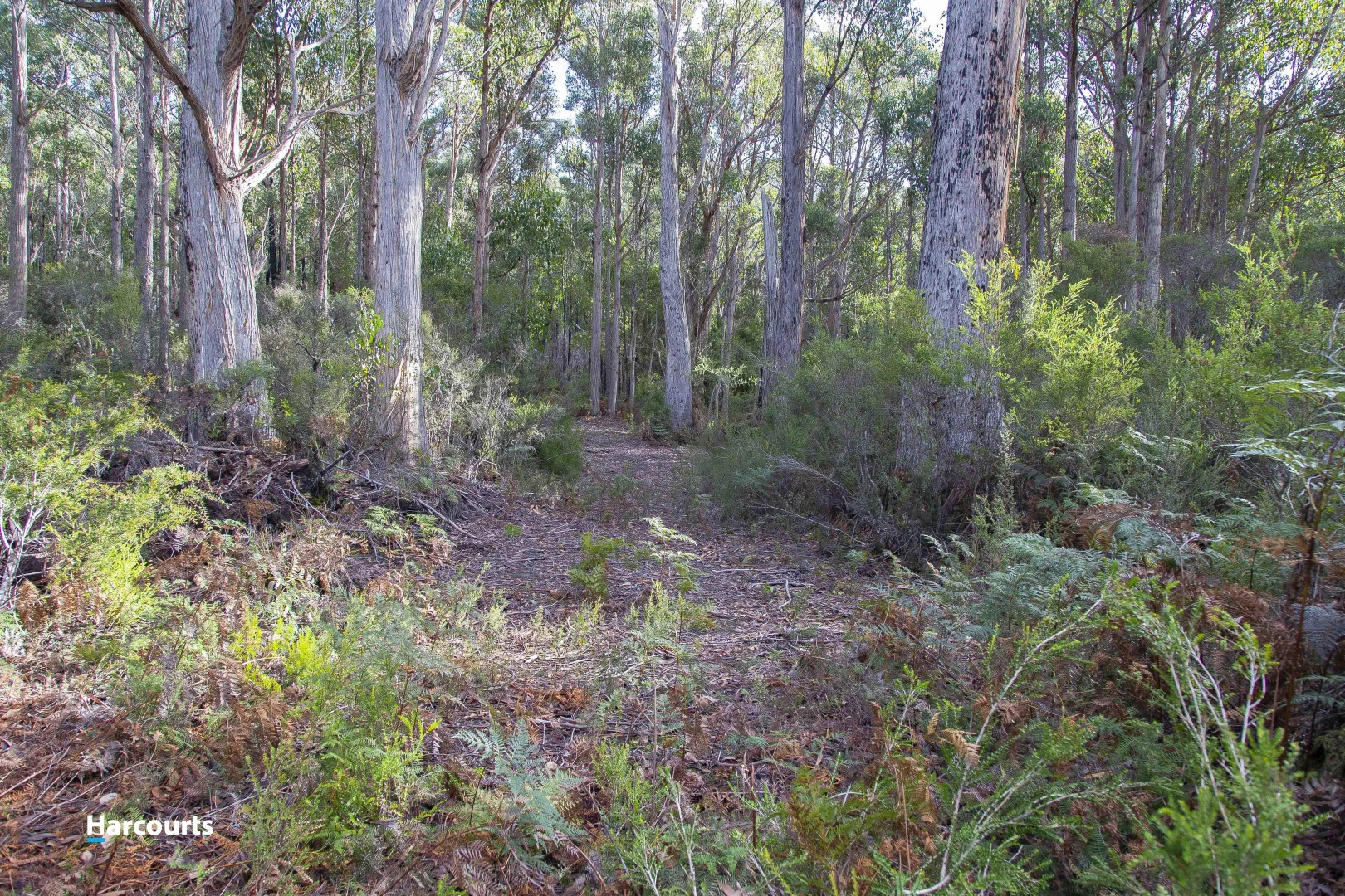 Additional image 15 of 623 Denison Road, Lonnavale TAS 7109