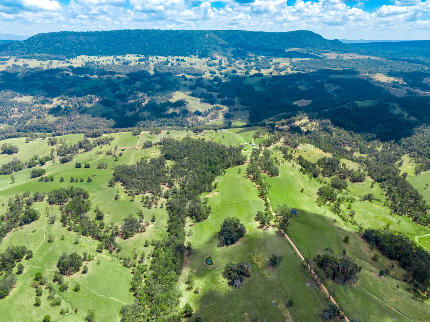 Additional image 20 of 497 Yabbra Road, Yabbra NSW 2469