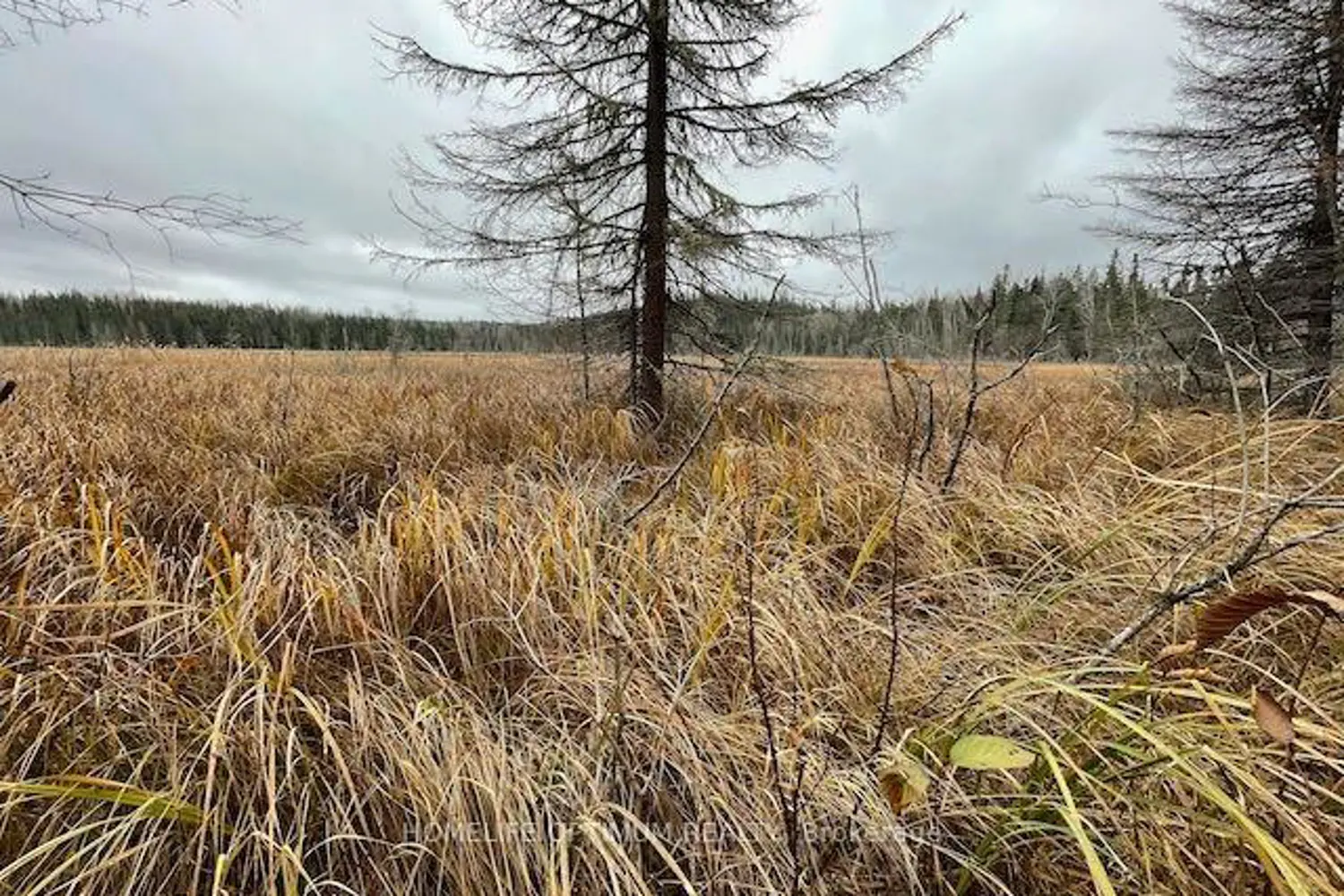 Additional image 18 of Pcl 7576 0