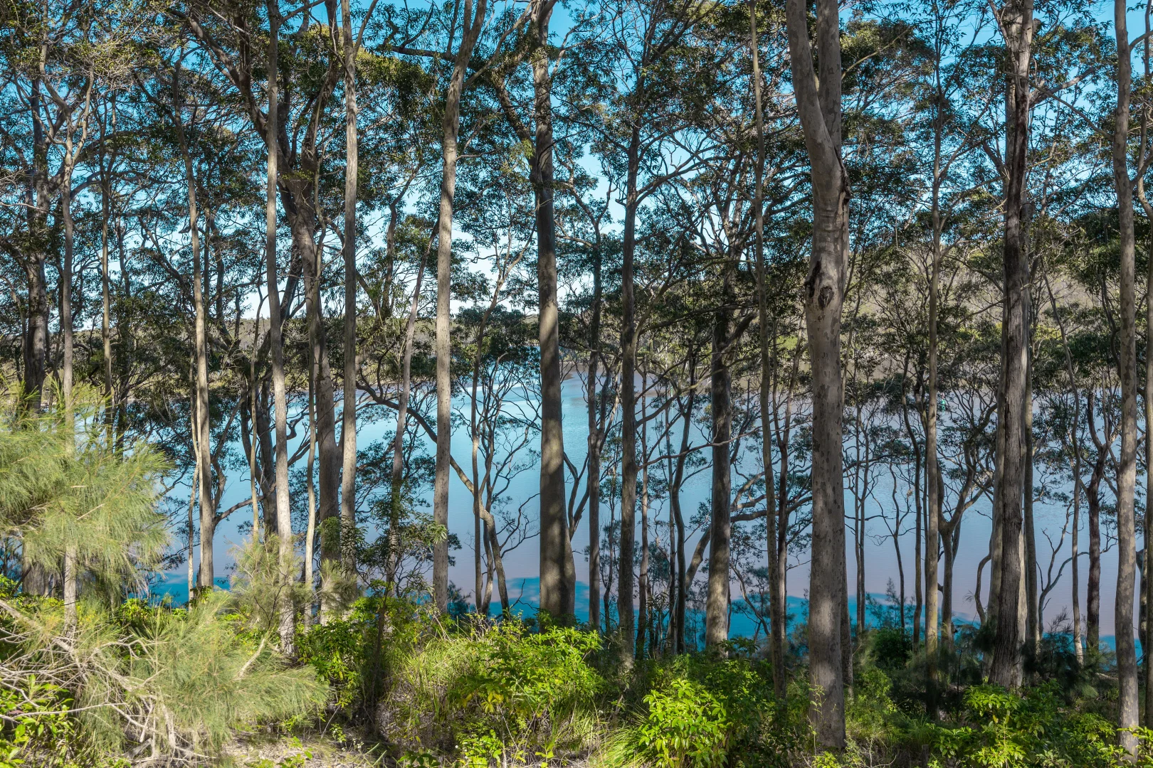 Additional image 6 of 8 William Street, Kings Point NSW 2539